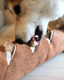 LAMBWOLF COLLECTIVE Baguette Nosework Squeaky Dog Toy -Pet Sale Shop 5 6a4d95d7 ab6c 4805 9522 5e2d784e4ee1