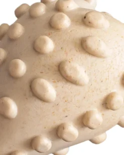 BETTERBONE Natural Hypoallergenic Eco-Friendly Dog Chew Toy 19 BETTERBONE Natural Hypoallergenic Eco-Friendly Dog Chew Toy -Pet Sale Shop 5 aad2651b 9e54 401d 8e25 d30a4441e82e