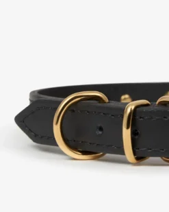 BRANNI Black Nara Leather Dog Collar With Brass Stars (Made In Italy) -Pet Sale Shop 5 b0609cc0 c0ee 4299 9acc f49f97421333