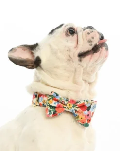 THE FOGGY DOG Rifle Paper Co. X TFD Garden Party Spring Dog Bow Tie (Made In The USA) -Pet Sale Shop 5 d048bcac acb7 4d33 bd65 8dc7b4ed4e1f