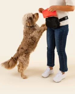 JUNO Doggy Dash Pack Bag 11 JUNO Doggy Dash Pack Bag -Pet Sale Shop 5 d10995cf 29c8 4af2 83e9 c013452e7ab9