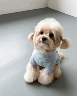 COTE A COTE Coquette Bow Dog T-Shirt -Pet Sale Shop 5 fabdbd55 a1f3 4c11 8561 0a8c8c116b0e