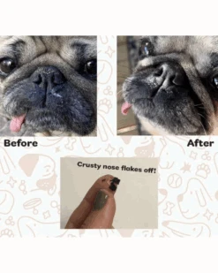 NONIPUP Boop Butter Crusty Nose + Dry Skin Treatment Butter -Pet Sale Shop 62