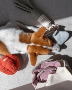 LAMBWOLF COLLECTIVE Large Farmer's Market Enrichment Toy Set 8 LAMBWOLF COLLECTIVE Large Farmer's Market Enrichment Toy Set -Pet Sale Shop 63