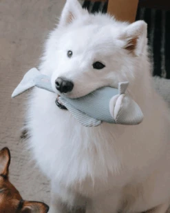 LAMBWOLF COLLECTIVE Large Farmer's Market Enrichment Toy Set 9 LAMBWOLF COLLECTIVE Large Farmer's Market Enrichment Toy Set -Pet Sale Shop 64 190fbfbb ea41 424b b3c3 a3bffb569e79