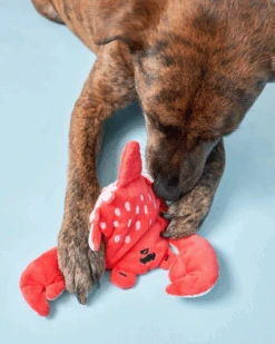 THE FURRY FOLKS Crab Nosework Toy For Dogs -Pet Sale Shop 65 0c927254 d6e3 4807 a88b 6800f5832515