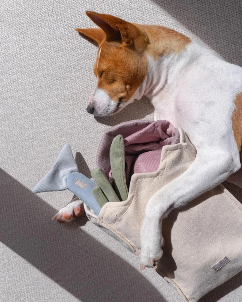 LAMBWOLF COLLECTIVE Large Farmer's Market Enrichment Toy Set 2 LAMBWOLF COLLECTIVE Large Farmer's Market Enrichment Toy Set - Image 2