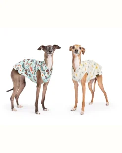 GOLD PAW Sun Shield Tee In Butterfly Print (Made In The USA) -Pet Sale Shop 66 ef21f88e cc0a 4acf 94c1 dd720a7506a5