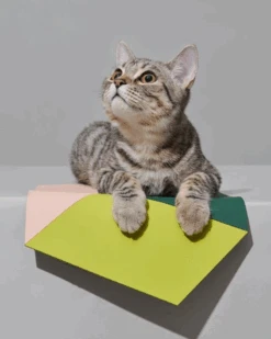 PURRRE Teeth Party Food Mat For Dogs & Cats -Pet Sale Shop 6 0083dee6 357a 419a 972e 4a7f01359868