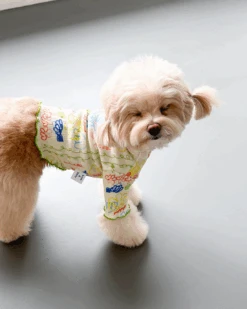 COTE A COTE Garden Lettuce Dog T-Shirt 13 COTE A COTE Garden Lettuce Dog T-Shirt -Pet Sale Shop 6 46eb633c ca9b 49fd 9928 e5b53d80df1f