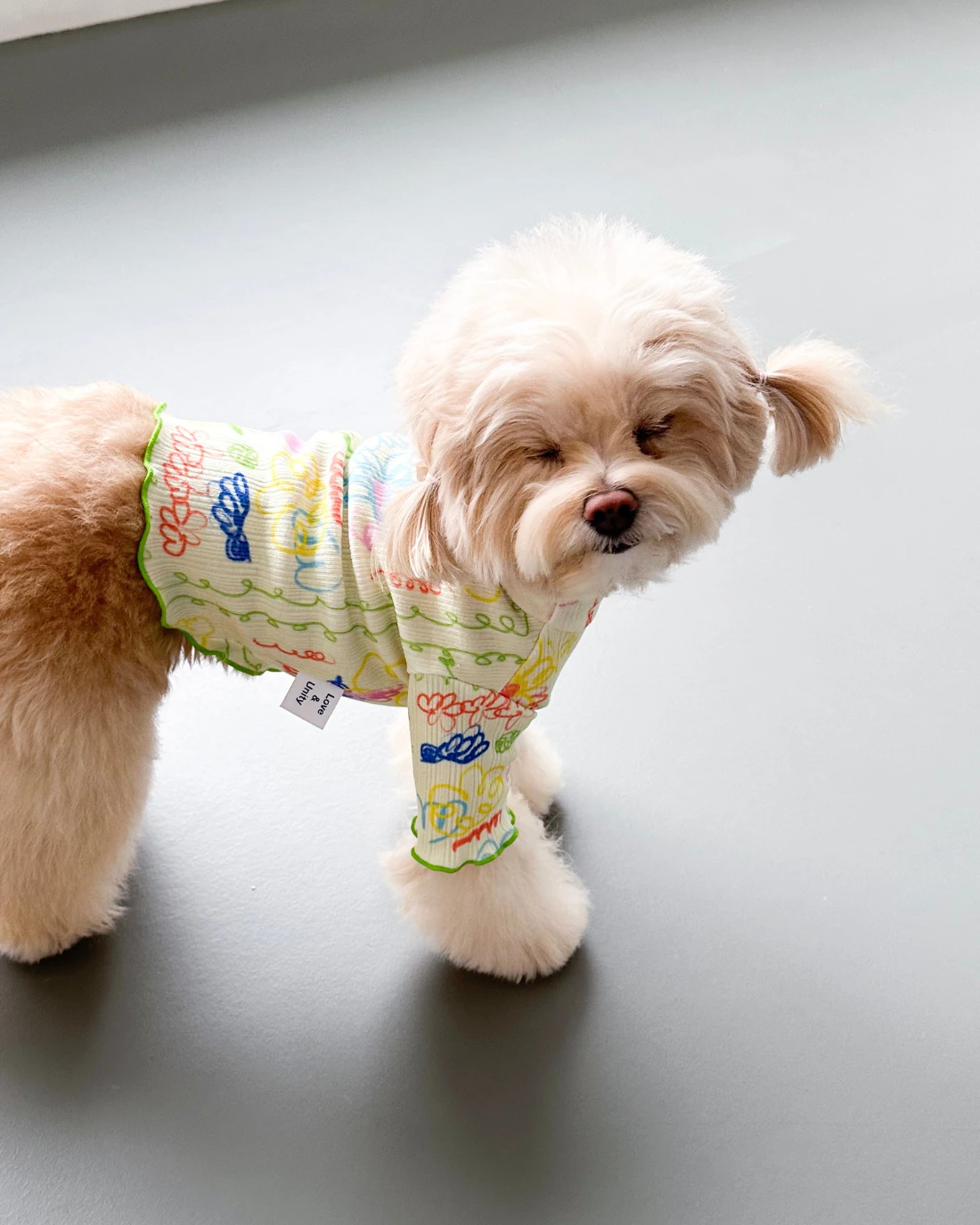 COTE A COTE Garden Lettuce Dog T-Shirt 3 COTE A COTE Garden Lettuce Dog T-Shirt - Image 3