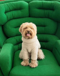 LITTLE BEAST The Pablo Fleece Dog Sweatshirt -Pet Sale Shop 6 7f0b04c7 897c 423a 89b8 f5b10e08bd5e