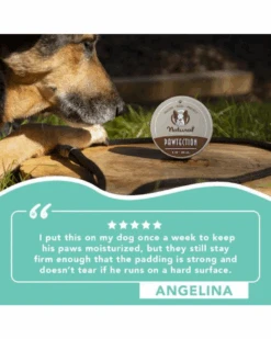 NATURAL DOG COMPANY PawTection Stick -Pet Sale Shop 6 a25b6c06 185e 4338 992a 6c9edd904e0a