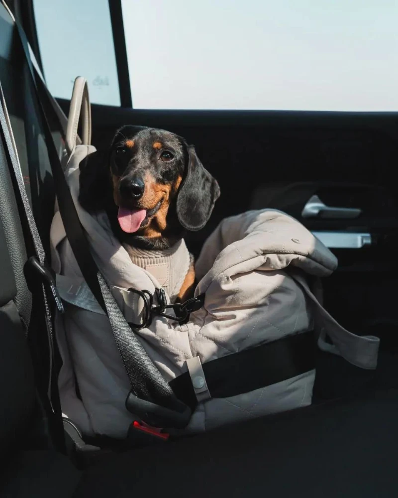 FUZZYARD Multipurpose Carrier & Car Seat 5 FUZZYARD Multipurpose Carrier & Car Seat - Image 5