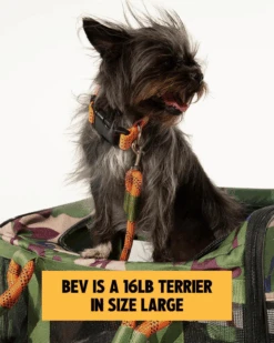 ROVERLUND Out-Of-Offfice Pet Carrier Pro Edition In Camo With Orange Straps -Pet Sale Shop 6 be330360 903f 448a 8b88 dbff0538357a