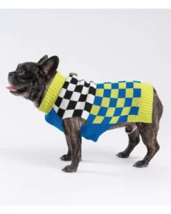 VERLOOP Checkerboard Dog Sweater In Lime & Cobalt (FINAL SALE)