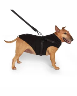 CANADA POOCH Harness Puffer Dog Jacket In Black (FINAL SALE) -Pet Sale Shop 6 eaaa629d 20a4 4b67 ad9f feb6e2267ea1
