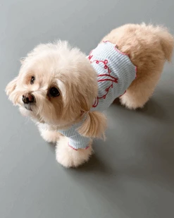 COTE A COTE Coquette Bow Dog T-Shirt -Pet Sale Shop 6 f30660e7 a6b2 4bcd 959b c73c28f1a680