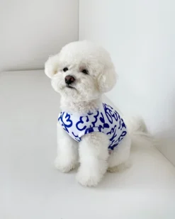 COTE A COTE Blue Scribbles Cooling Dog Tee 12 COTE A COTE Blue Scribbles Cooling Dog Tee -Pet Sale Shop 6fe1c6c6ddaac6c7ffc3d046011a4b42 scaled