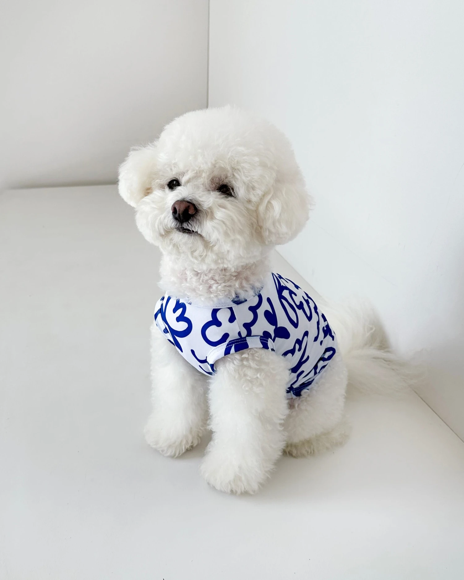 COTE A COTE Blue Scribbles Cooling Dog Tee 4 COTE A COTE Blue Scribbles Cooling Dog Tee - Image 4