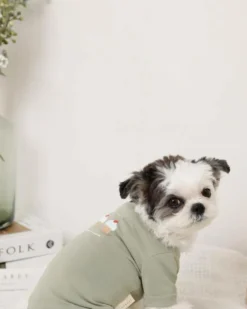 MONCHERI Cupcake Love Dog T-Shirt -Pet Sale Shop 71