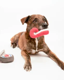 THE FURRY FOLKS Tinned Octopus Nosework Dog Toy -Pet Sale Shop 72 1361e1c6 ca95 41d2 9033 40344a3906f0