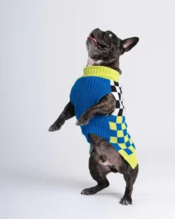 VERLOOP Checkerboard Dog Sweater In Lime & Cobalt (FINAL SALE) -Pet Sale Shop 7 25d174de 2f37 4679 a759 b4a1d3ba5769