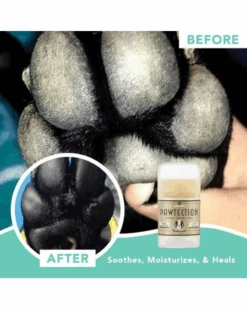 NATURAL DOG COMPANY PawTection Stick -Pet Sale Shop 7 27def595 b1d9 4bd3 8de3 ac45a4badc44