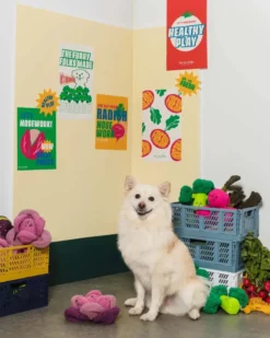 THE FURRY FOLKS Red Cabbage Nosework Dog Toy -Pet Sale Shop 7 592af025 b561 4fee 9457 d96044fae492