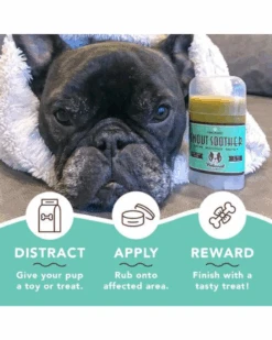 NATURAL DOG COMPANY Snout Soother Travel Stick -Pet Sale Shop 7 5e3aaf18 cc13 4d28 9544 4645cb9bc139