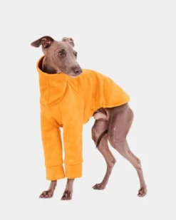 FORGALGO Long Sleeve Dog Turtleneck In Yellow (FINAL SALE)