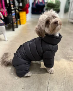 SSOOOK Padded Winter Coverall For Dogs -Pet Sale Shop 7 95296535 f37b 462d a6d6 8479adfc0fc8