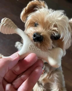 BETTERBONE Natural Hypoallergenic Eco-Friendly Dog Chew Toy 21 BETTERBONE Natural Hypoallergenic Eco-Friendly Dog Chew Toy -Pet Sale Shop 7 e67e59f2 1f99 4f49 aa21 7376af77d350