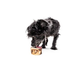 WINNIE LOU Bison Marrow Long-Lasting Chew Bones -Pet Sale Shop 815f0e2a600706060231f2e4ea9b6f6fa4a243c6723735afde2c77ce62c5af1b