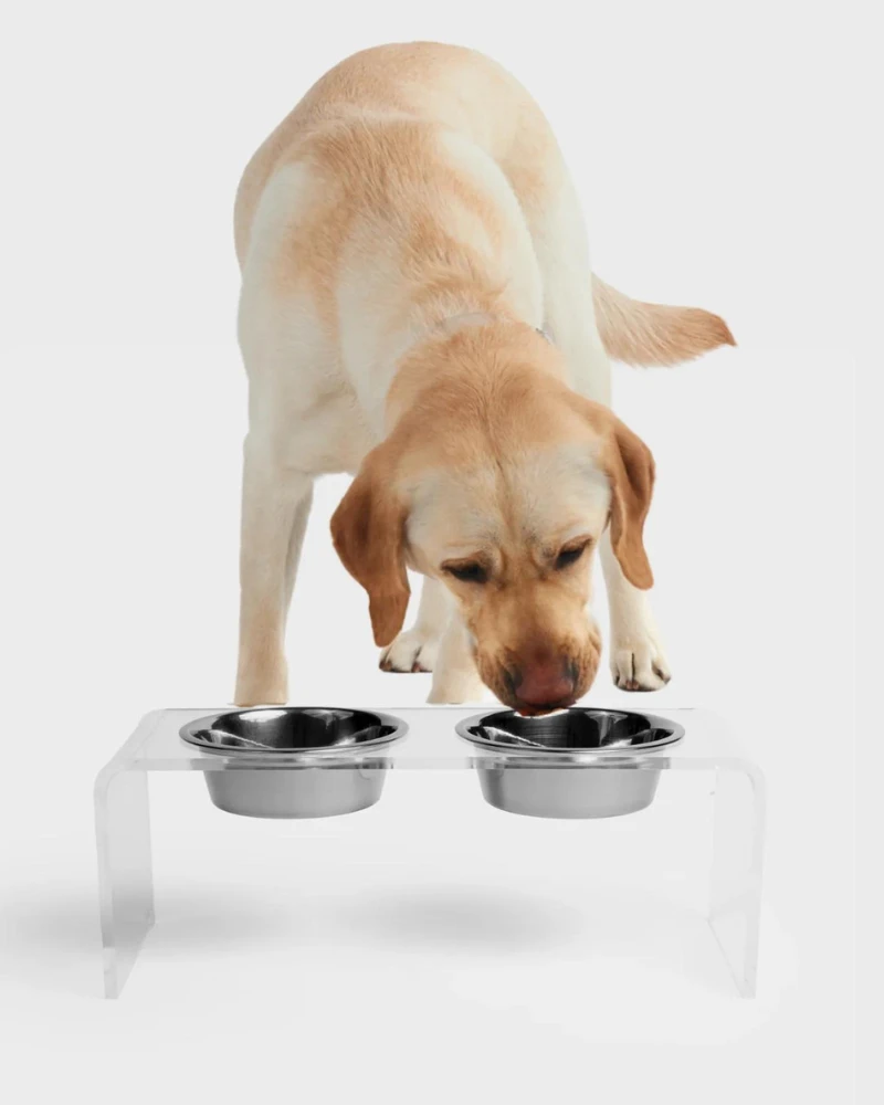 HIDDIN Clear Lucite Double Bowl Pet Feeder (Made In The USA) (Direct-Ship) 18 HIDDIN Clear Lucite Double Bowl Pet Feeder (Made In The USA) (Direct-Ship) - Image 18