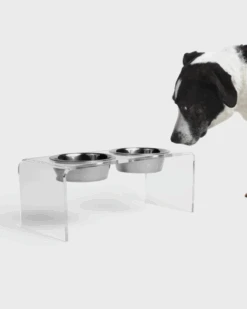 HIDDIN Clear Lucite Double Bowl Pet Feeder (Made In The USA) (Direct-Ship) 35 HIDDIN Clear Lucite Double Bowl Pet Feeder (Made In The USA) (Direct-Ship) -Pet Sale Shop 83 504504ec 7194 43e0 8bb8 012b58d42cdc