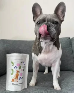 BOTANICAL BONES Flower Power Superfood Dog Treats -Pet Sale Shop 895416f8c15dac87ac47e98a426c682971549fadd4995b898e71ce9dbbcf0d22