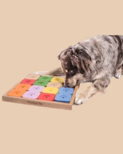 MY INTELLIGENT PETS Sudoku Dog Treat Puzzle Game In Rainbow Edition (16 Squares) -Pet Sale Shop 8 154c026c 37a8 4848 bc6b f215152f3c8d
