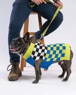 VERLOOP Checkerboard Dog Sweater In Lime & Cobalt (FINAL SALE) -Pet Sale Shop 8 4107bf72 510b 48de 974e dda3e9692b82