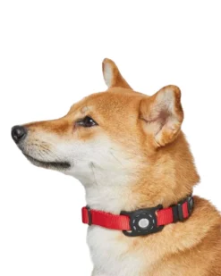 DOGS & CATS & CO. AirTag Holder For Pet Collar -Pet Sale Shop 8 793022ca c51c 45a3 ae23 7e74f882fcaf