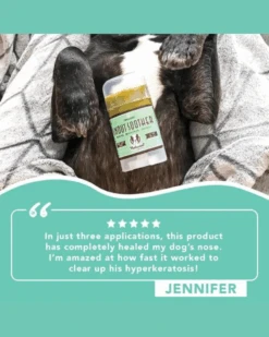 NATURAL DOG COMPANY Snout Soother Travel Stick -Pet Sale Shop 8 d8bc53ae 5576 4fe1 91cd 5b39d6aec635