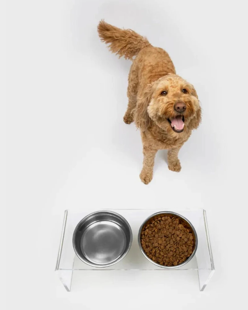 HIDDIN Clear Lucite Double Bowl Pet Feeder (Made In The USA) (Direct-Ship) 12 HIDDIN Clear Lucite Double Bowl Pet Feeder (Made In The USA) (Direct-Ship) - Image 12