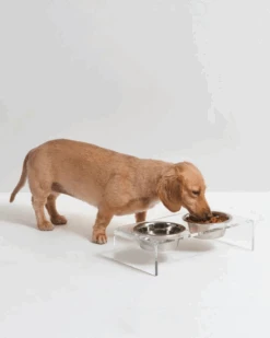 HIDDIN Clear Lucite Double Bowl Pet Feeder (Made In The USA) (Direct-Ship) 34 HIDDIN Clear Lucite Double Bowl Pet Feeder (Made In The USA) (Direct-Ship) -Pet Sale Shop 91 240e487e b2d0 4dce b13c 12da9c3d5b23