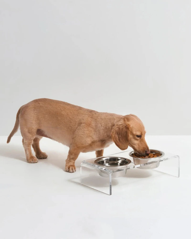 HIDDIN Clear Lucite Double Bowl Pet Feeder (Made In The USA) (Direct-Ship) 1 HIDDIN Clear Lucite Double Bowl Pet Feeder (Made In The USA) (Direct-Ship)