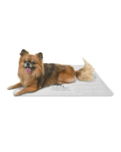 AVANTPET Non-Toxic Pet Cooling Mat (Made In Korea) -Pet Sale Shop 93