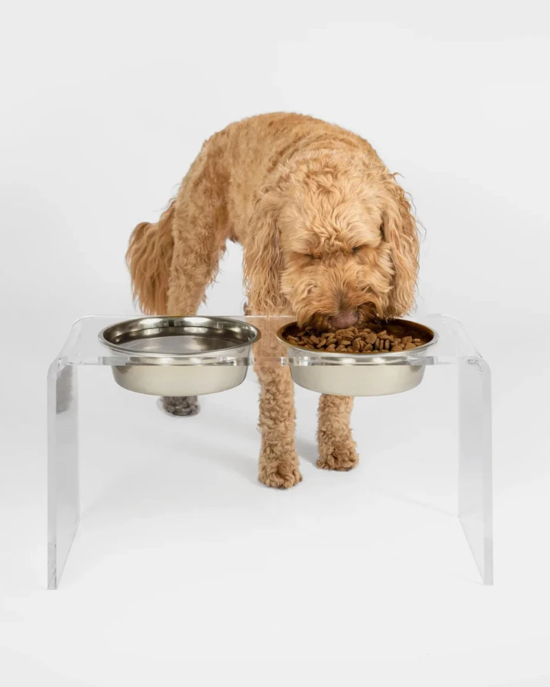 HIDDIN Clear Lucite Double Bowl Pet Feeder (Made In The USA) (Direct-Ship) 13 HIDDIN Clear Lucite Double Bowl Pet Feeder (Made In The USA) (Direct-Ship) - Image 13