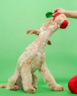 THE FURRY FOLKS Apple Nosework Dog Toy 24 THE FURRY FOLKS Apple Nosework Dog Toy -Pet Sale Shop 9 22c5a06b a8dd 407b ac5c 8aaa50a31166