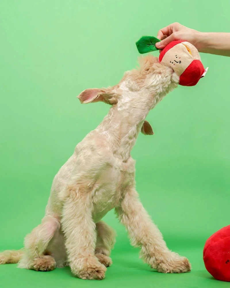 THE FURRY FOLKS Apple Nosework Dog Toy 11 THE FURRY FOLKS Apple Nosework Dog Toy - Image 11