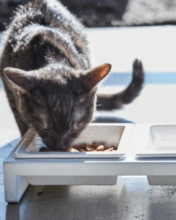 YAMAZAKI Tower Pet Food Bowl In White -Pet Sale Shop 9 48709da2 0639 4037 921c 116e2d778106
