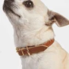 BRANNI Small Dog Collar In Cognac Leather (Made In Italy) (FINAL SALE)